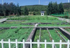 大江体育(中国)官方在线